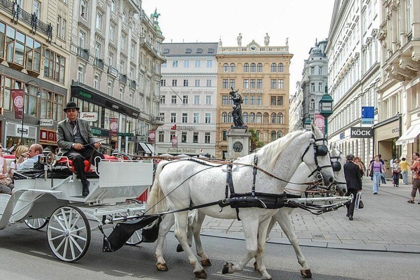 Down town Vienna at Graben 5
