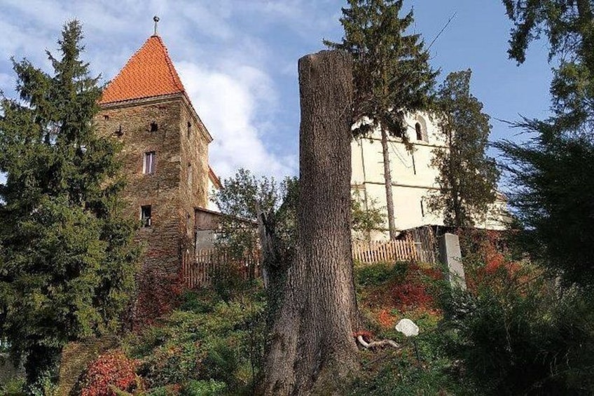 Une tour de pierre surmontée d’un toit rouge, un bâtiment blanc doté d’un clocher et un grand arbre au premier plan. 4