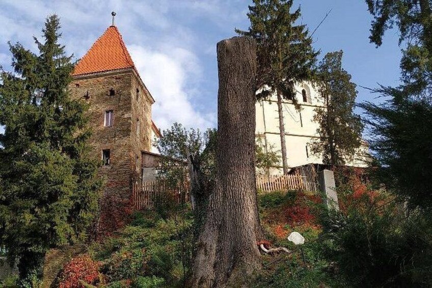 Sighisoara 2