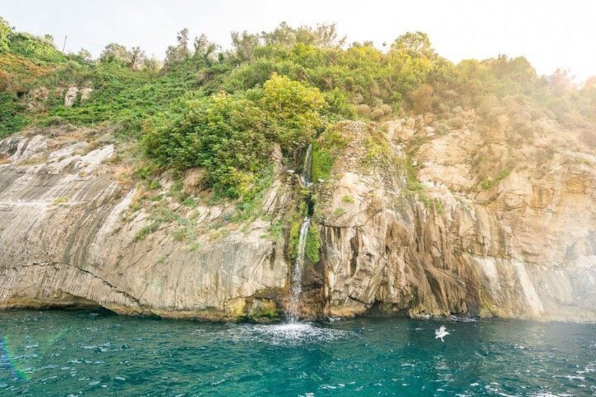From Sorrento: Capri & Optional Blue Grotto Boat Tour 2