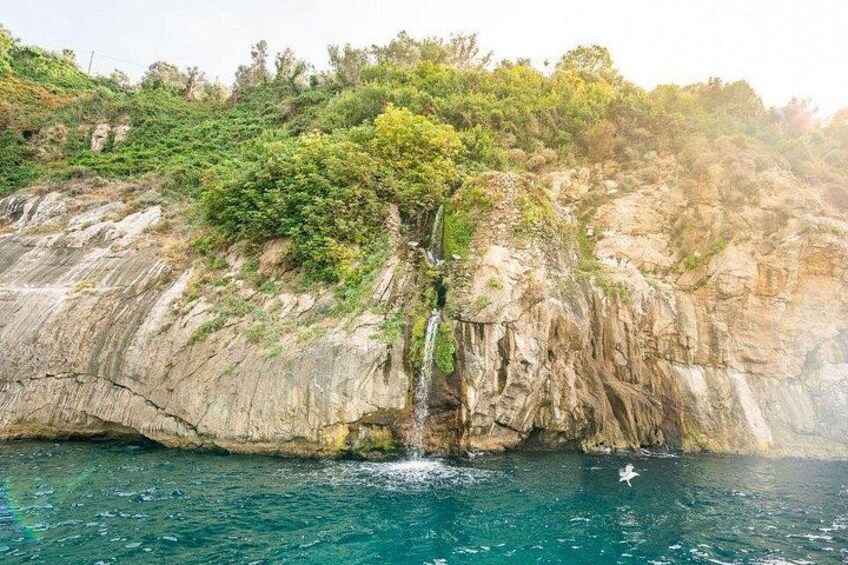 Capri Boat Tour with Optional Blue Grotto Visit from Sorrento 2