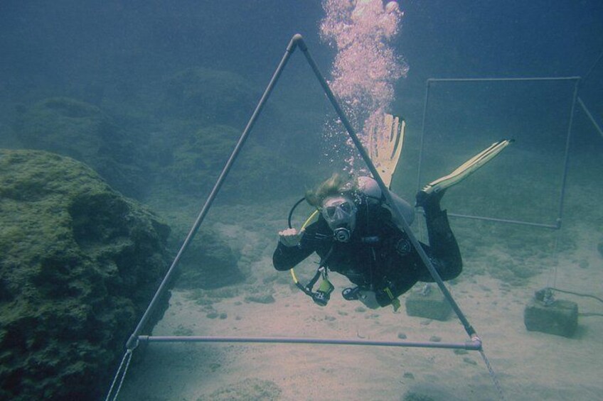 Dive Site : Da Costa 3