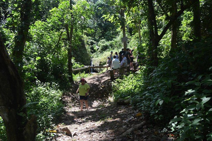 trail to small waterfall 5