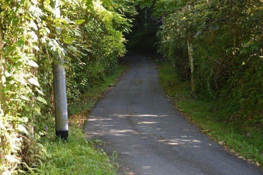 Country roads in the mountains 2