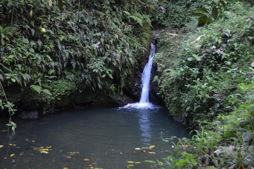 Natural waterfall in the center of PR 3