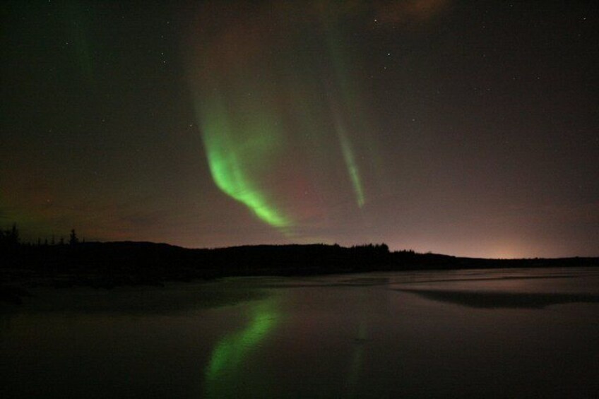 The Northern Lights over a calm lake with a silhouette of trees in the background. 2