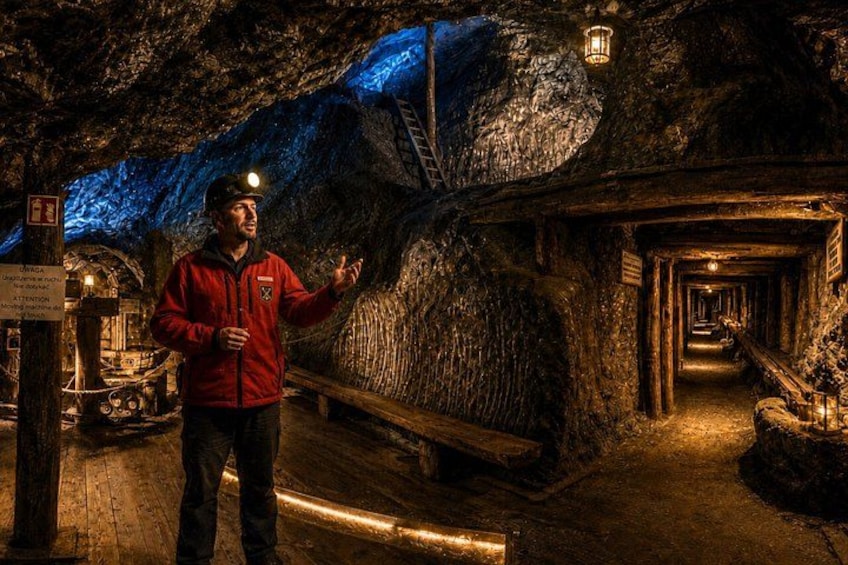1 Day Trip Auschwitz Birkenau and Salt Mines with Hotel Transfer 3