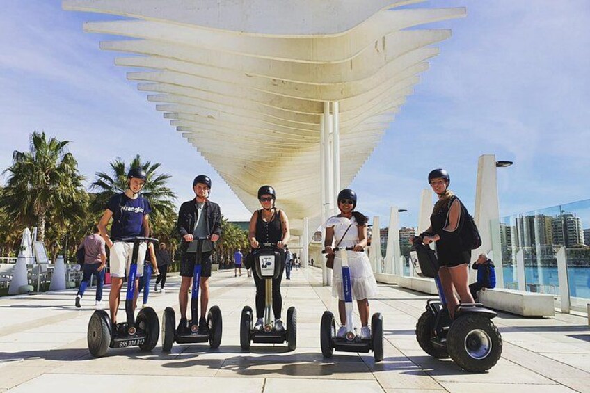 A group of people on segways, a covered walkway, palm trees, and a waterfront. 5