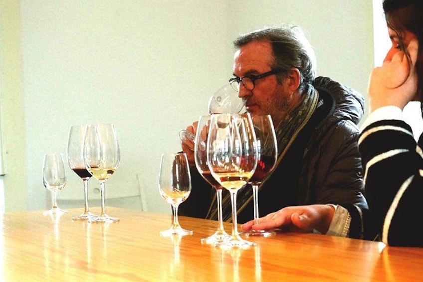 Wine tasting 4