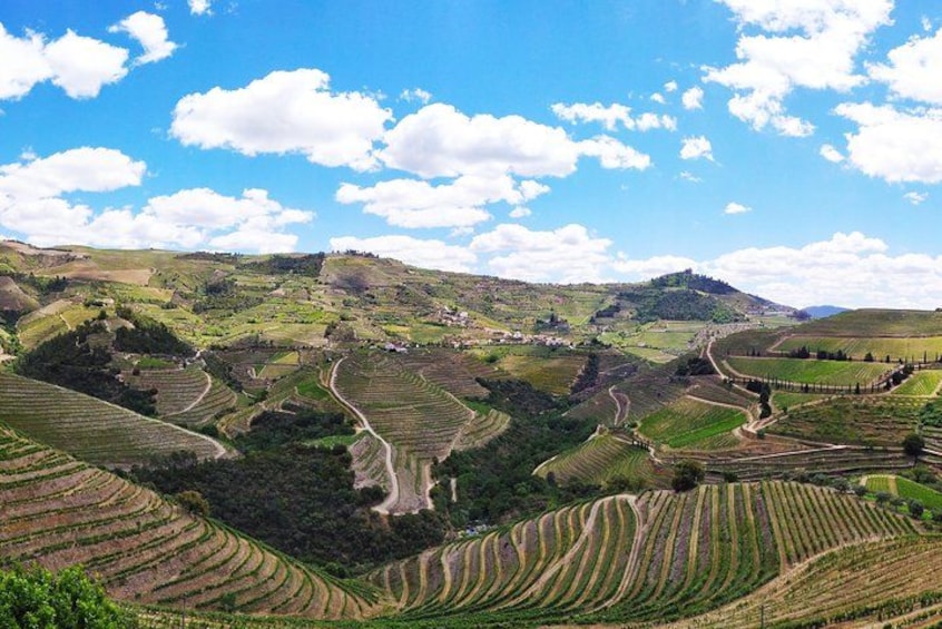 Wonderful panorama in the Heart of Douro Valley 2