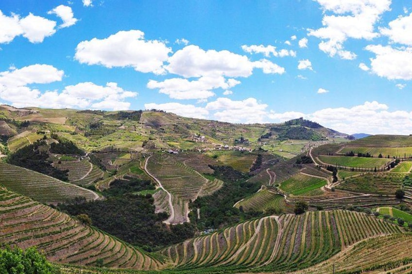 Wonderful panorama in the Heart of Douro Valley 5