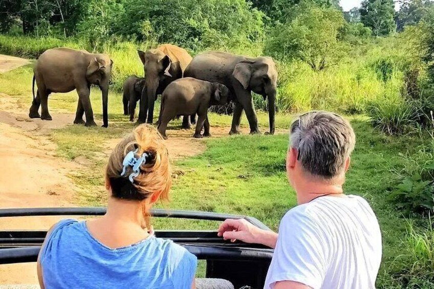 Private Dambulla Sigiriya Tour from Kandy with Lunch 5