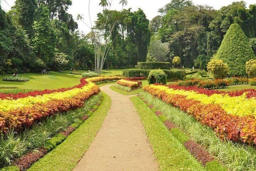 Un jardín con un camino central, rodeado de parterres ordenados con flores de diversos colores. 5