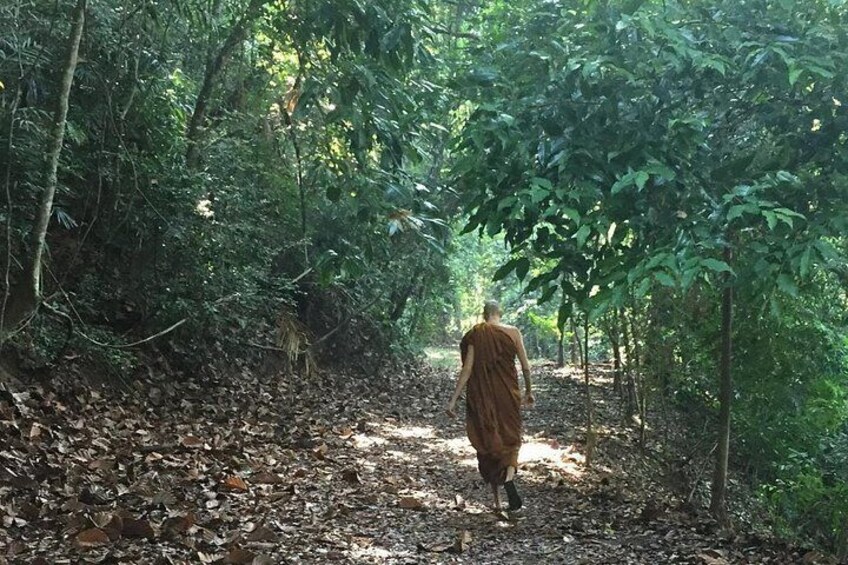 Una persona caminando por una zona boscosa con follaje denso y un sendero de tierra. 2
