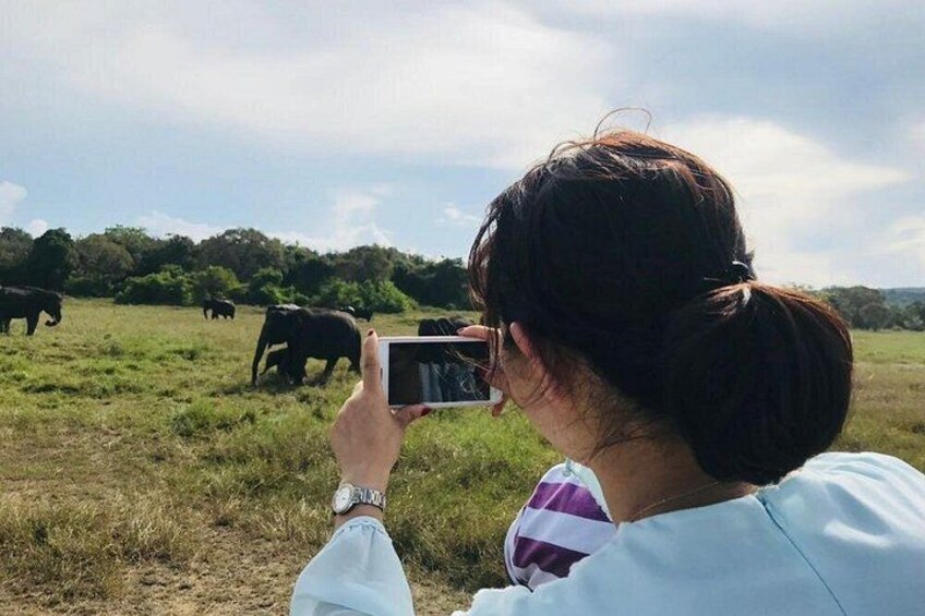 A visitor Trying to Capture Some Elephants 2