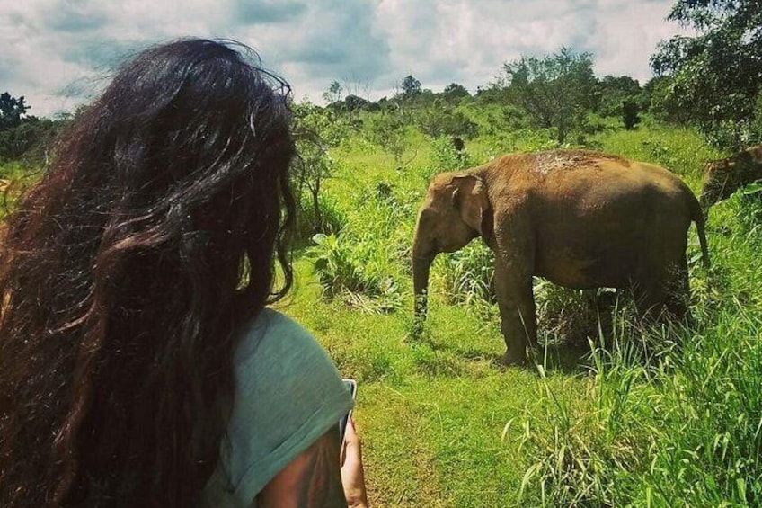 A person observing an elephant in a grassy field. 2
