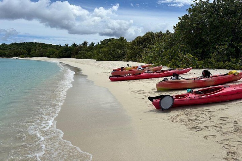 Kayak & Snorkel with Sea Turtles, National Park, St. John 4