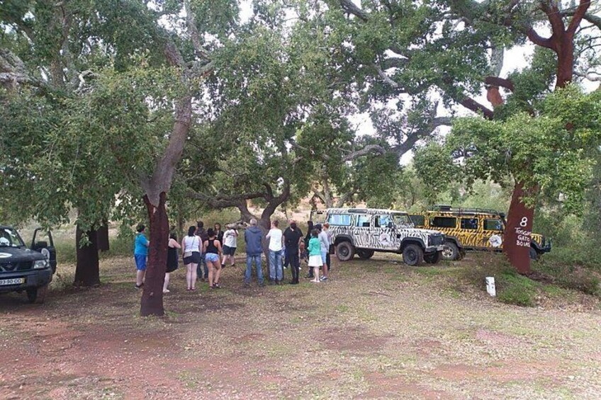 A group of people gathered around a vehicle with camouflage paint, trees, and a dirt ground. 2