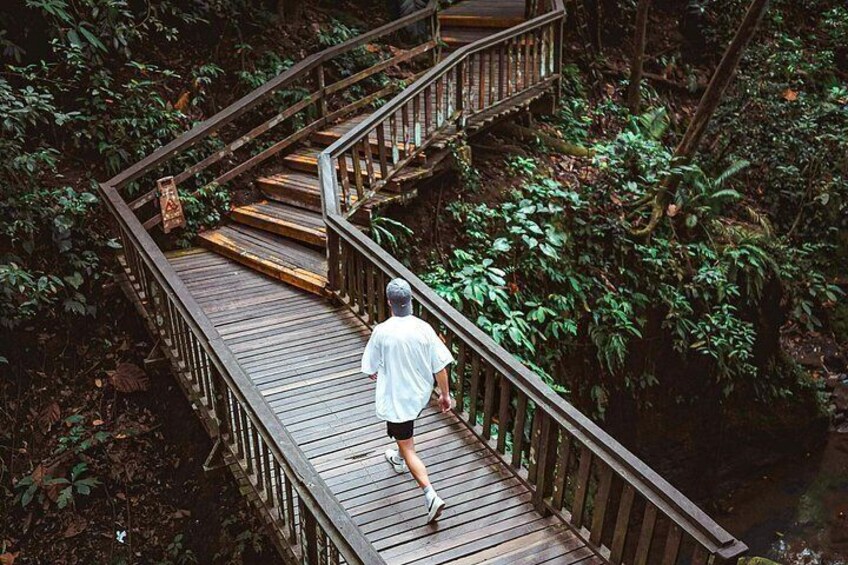 Sacred Monkey Forest Sanctuary Ubud 2