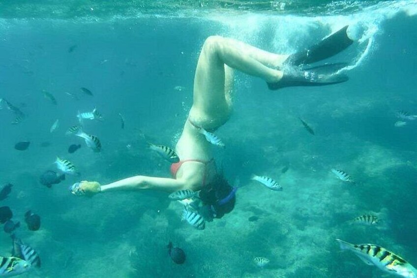 A person snorkeling underwater with tropical fish. 3