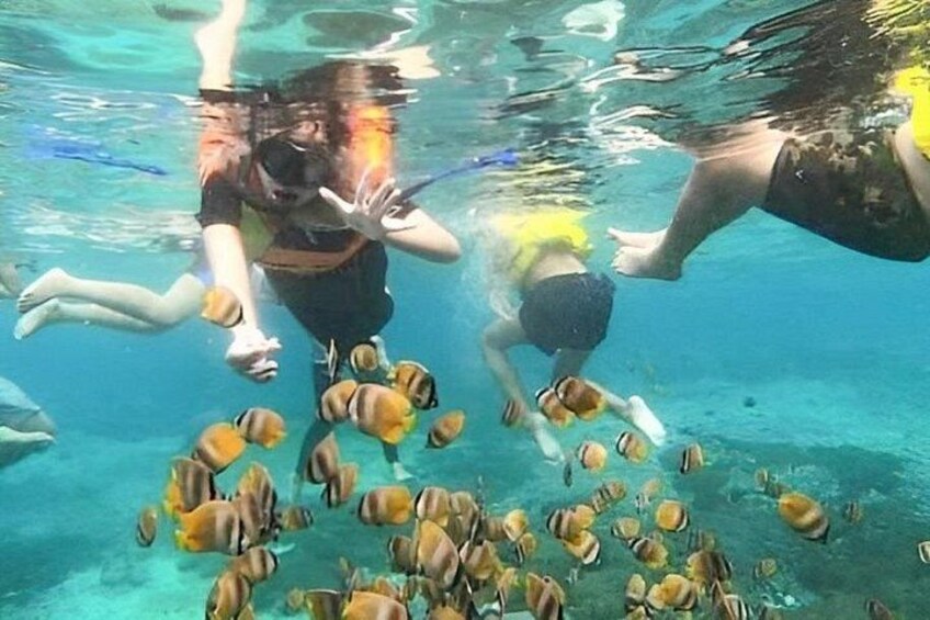 Blue Lagoon Snorkeling 3