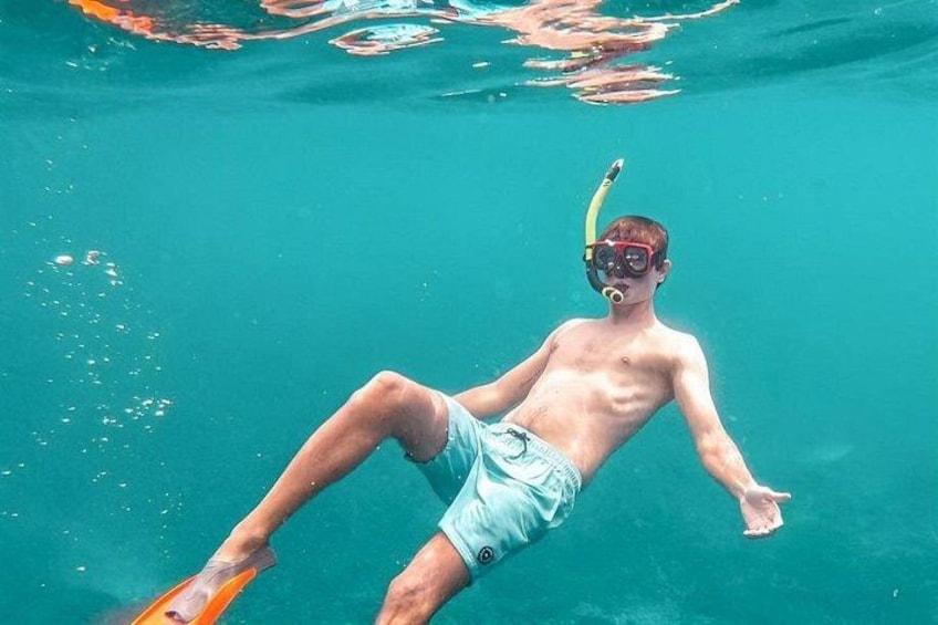 A person snorkeling underwater with fins and a snorkel. 3