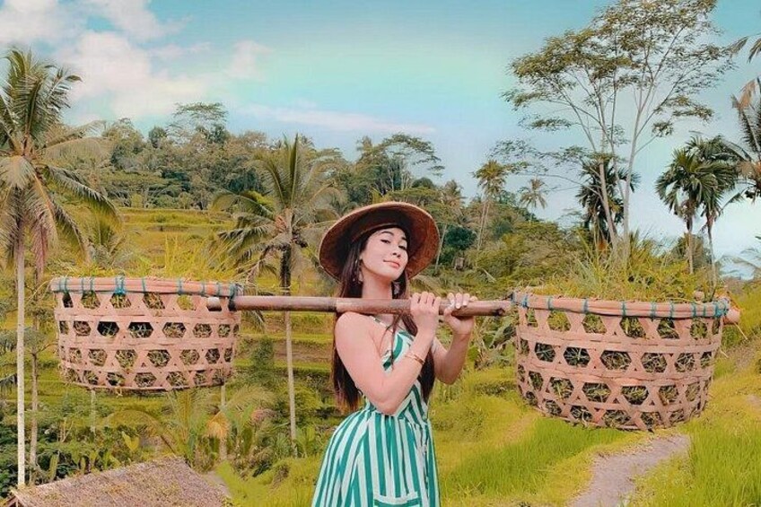 Tegalalang Rice Terrace 5
