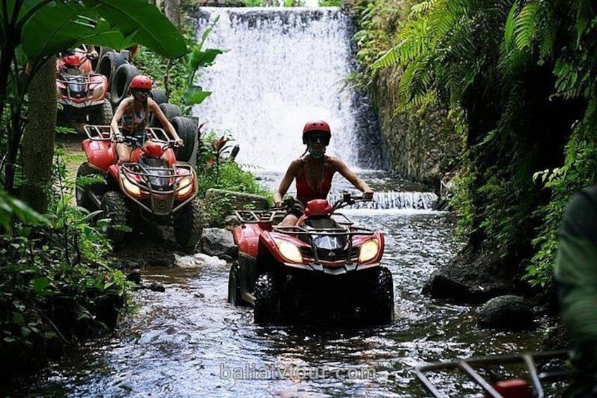 Bali Quad Bike 4