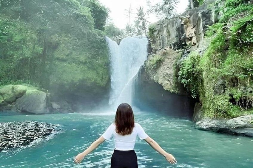 A waterfall in a forested area with a person standing in a body of water. 3