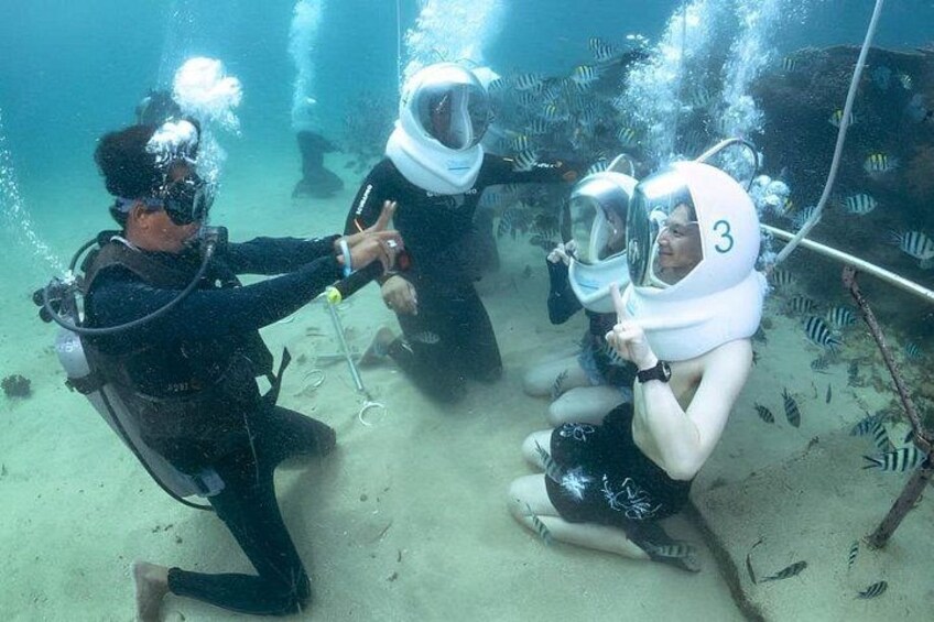Divers underwater with scuba gear, surrounded by fish. 3