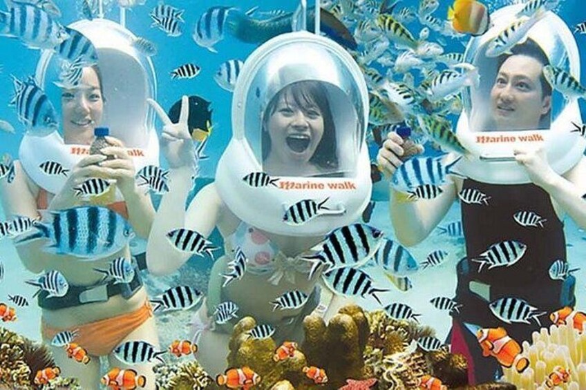 Three people in scuba diving gear surrounded by marine life. 1