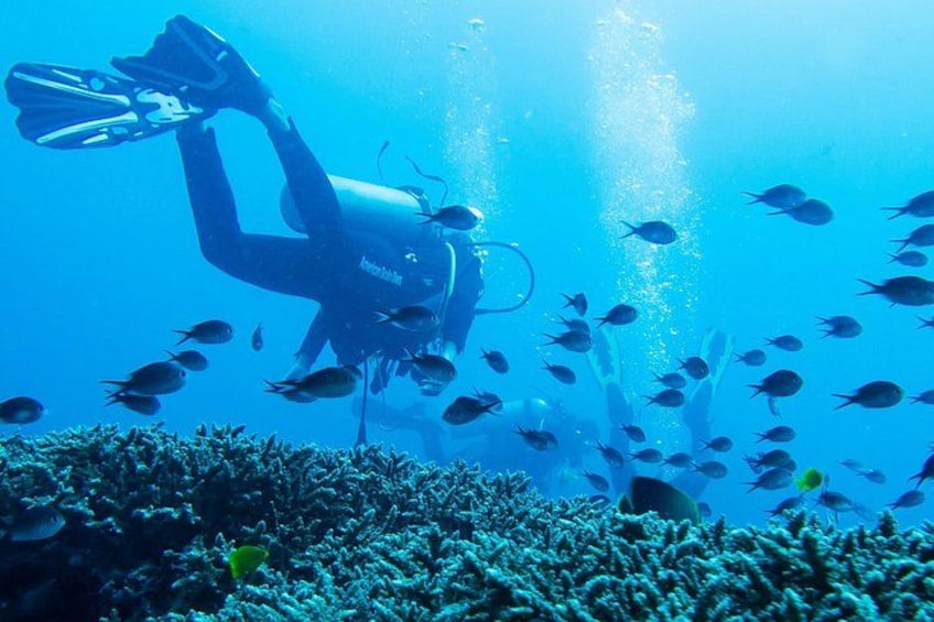 Tulamben Diving 4