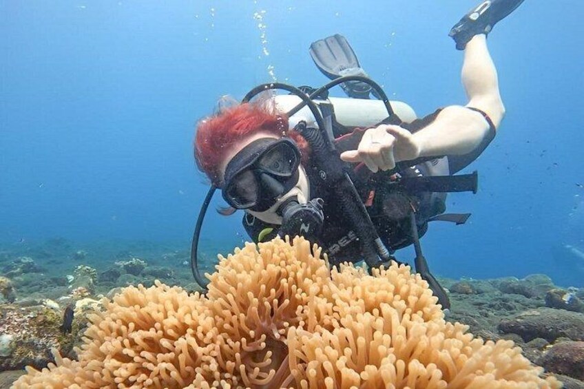 Tulamben Diving 3