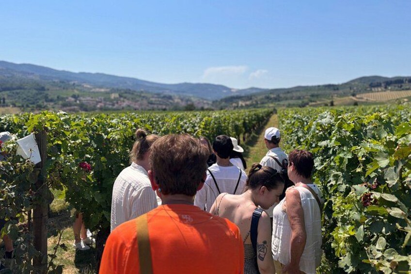Small-Group Wine Tasting Experience in the Tuscan Countryside 4