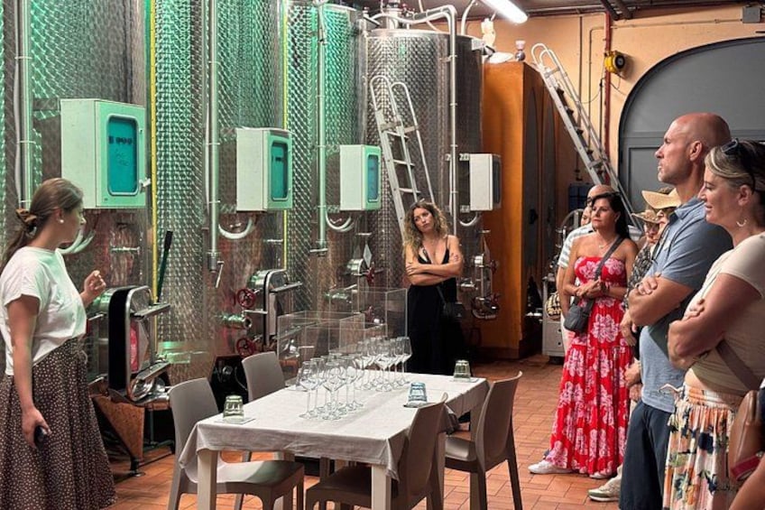 Small-Group Wine Tasting Experience in the Tuscan Countryside 2