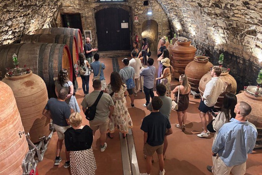 Small-Group Wine Tasting Experience in the Tuscan Countryside 3