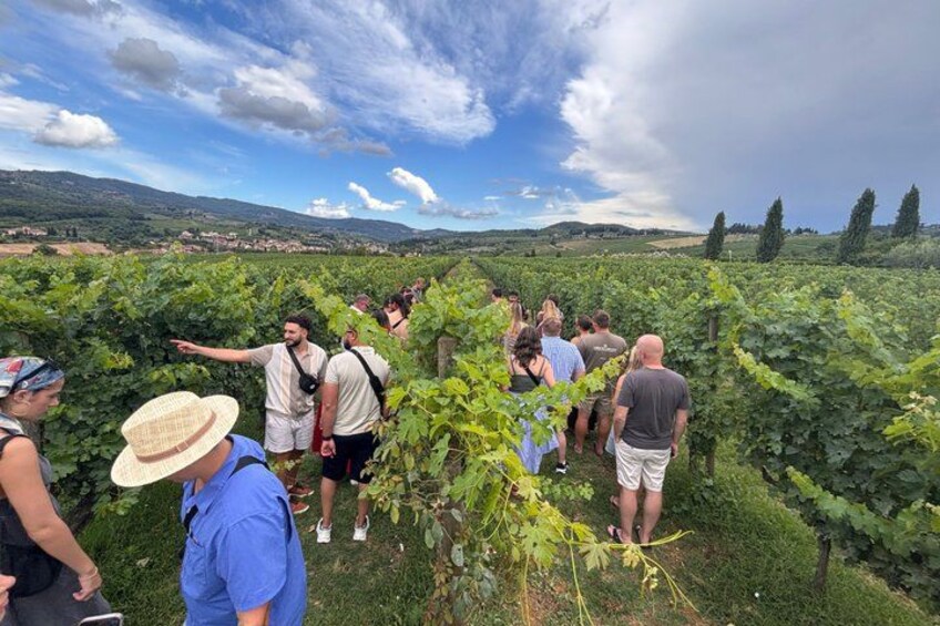 Small-Group Wine Tasting Experience in the Tuscan Countryside 1