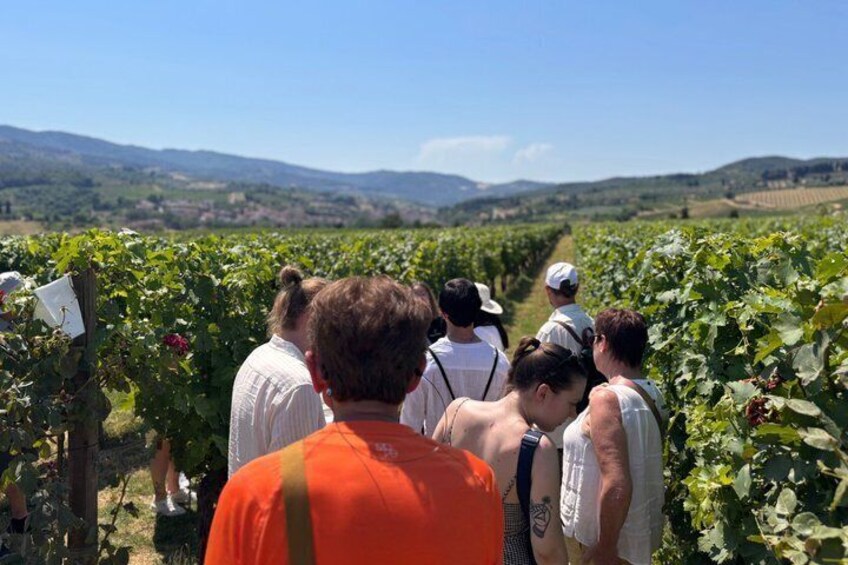 Small-Group Wine Tasting Experience in the Tuscan Countryside 5