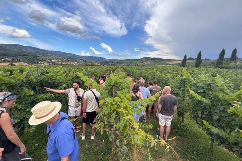 Small-Group Wine Tasting Experience in the Tuscan Countryside 1