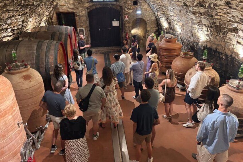 Small-Group Wine Tasting Experience in the Tuscan Countryside 4