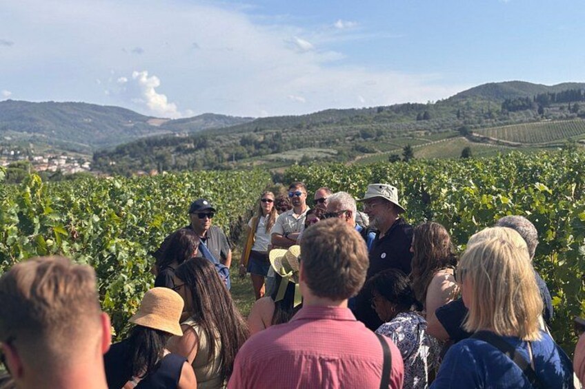Small-Group Wine Tasting Experience in the Tuscan Countryside 5