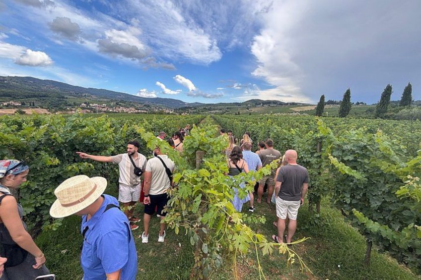 Small-Group Wine Tasting Experience in the Tuscan Countryside 1
