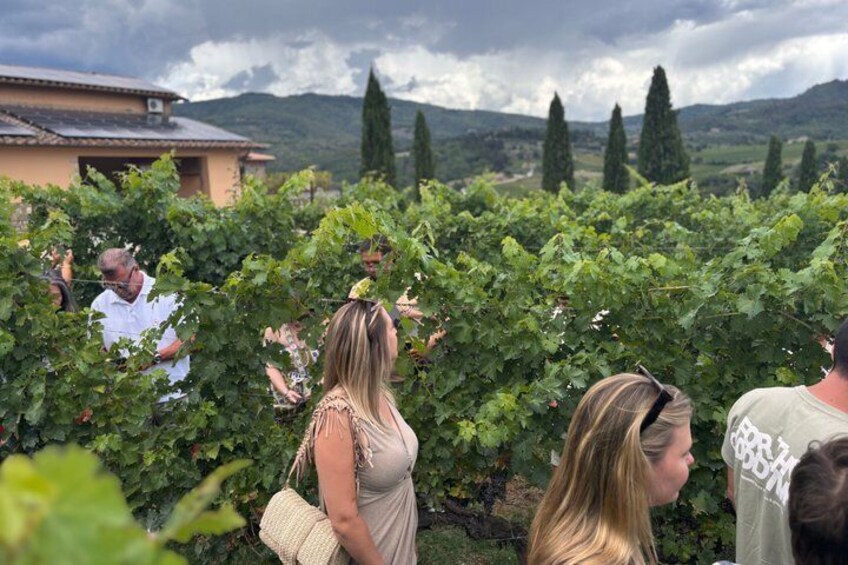 Small-Group Wine Tasting Experience in the Tuscan Countryside 2
