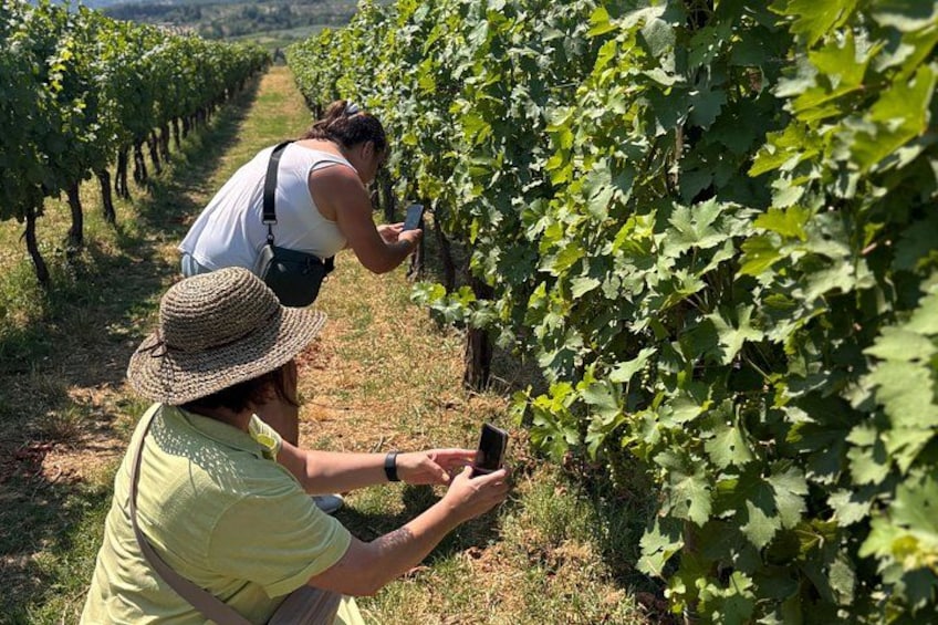 Small-Group Wine Tasting Experience in the Tuscan Countryside 2