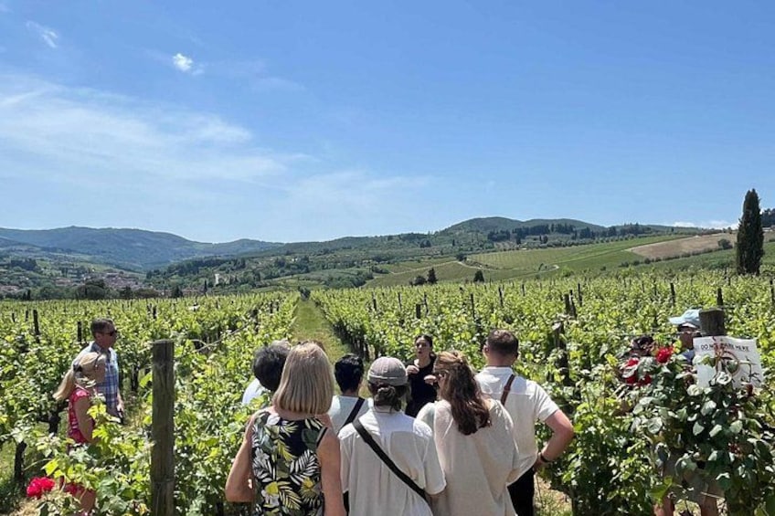 Small-Group Wine Tasting Experience in the Tuscan Countryside 3