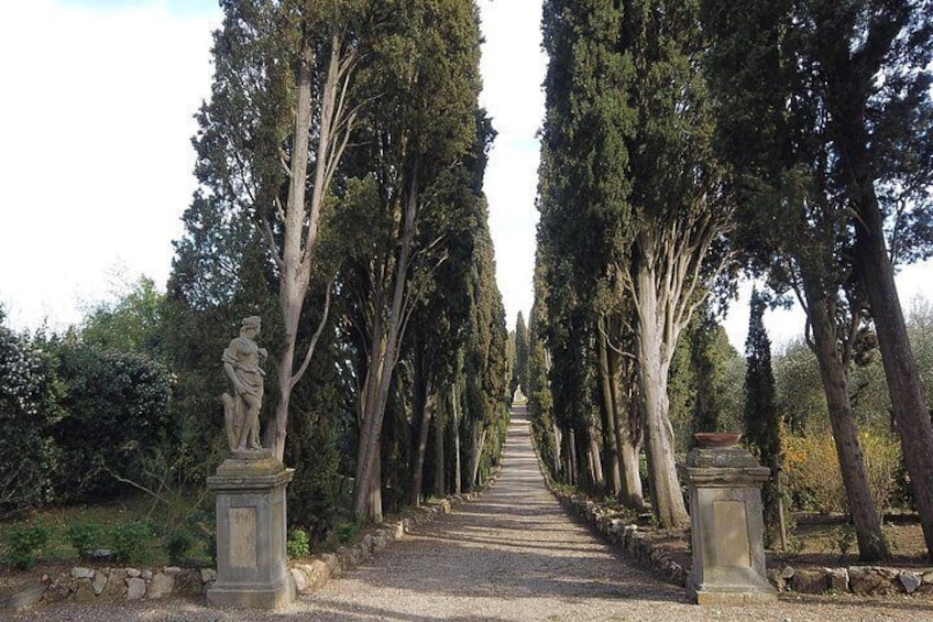 Small group tour from Florence with lunch and wine tastings 2