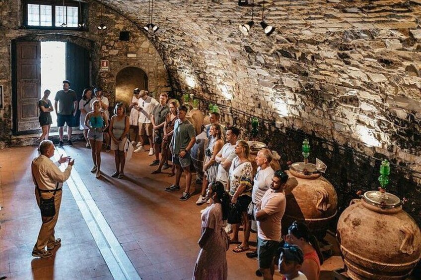 Tuscan wine cellar 1