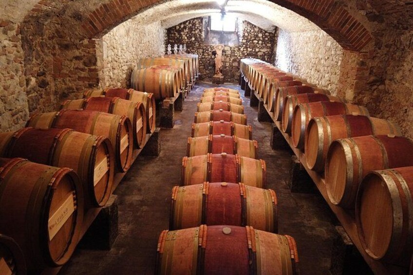 Small group tour from Florence with lunch and wine tastings - wine cellars 3