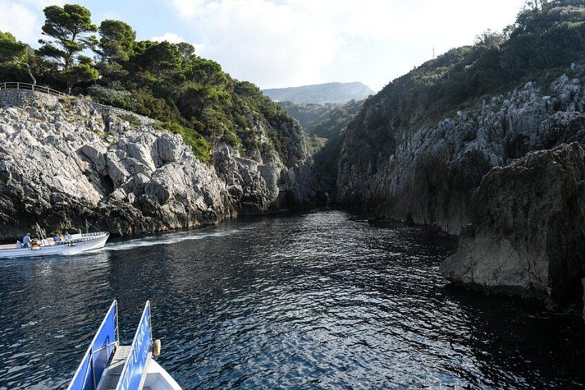 Capri One Day: Visit the Island by Sea and Land with Blue Grotto 2
