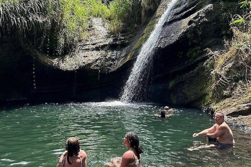 Full-Day Tour: Concord Waterfall, Chocolate Factory, Rum Distillery, Grand Etang 5